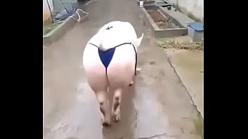 This is some funny s.!!!