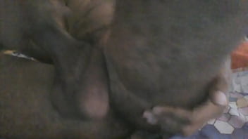 Dandome Placer Solito