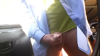Paja En El Coche
