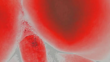 Riquísimo!!!! Todo para mi!