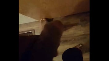 Masturbate, Bbc - Unknown - 2025 - Passionate - Scene - Video 3436926