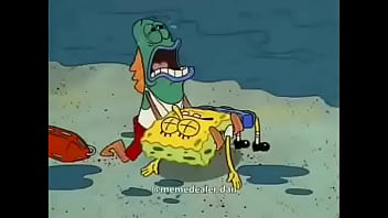 Verification Video - verification-video - Video 3549181