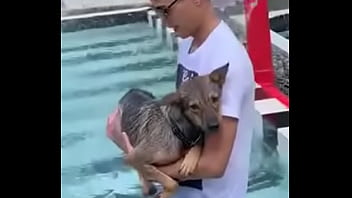 Verification Video - verification-video - Video 3474342