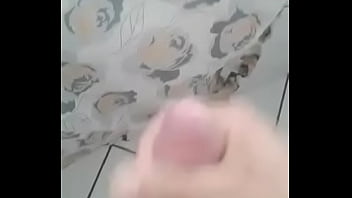 Dracena Sp (hétero)