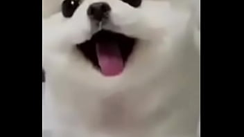 Verification Video - gay, verification-video - Video 3545516