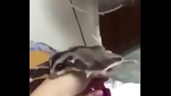 Porn, Reality - Virtual_reality - 2025 - Sexy - Scene - Video 3467718