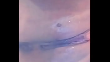 Verification Video - verification-video - Video 3424999