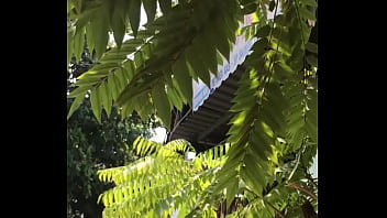 Verification Video - verification-video - Video 3421850