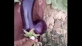 Milf, Fingering, Fetish, Wtf, Vagetabel - Milf - 2025 - Intense - Session - Video 3459280