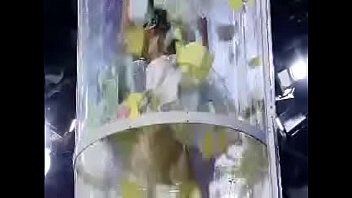 Calzones, Viento - Unknown - 2025 - Wild - Show - Video 3454993