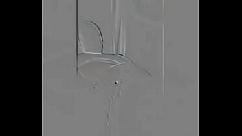 Grenada Horny Black M.