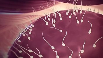 It' Easy And Quickly Make A B.