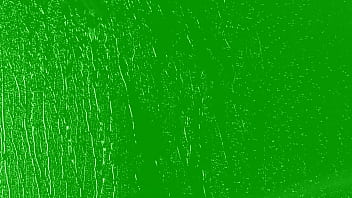 Vídeo De Verificação - verification-video - Video 3451903