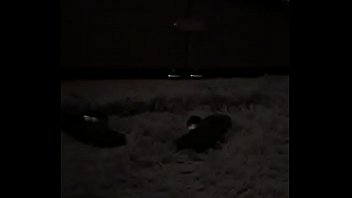 52 Year Old Hungarian Escort