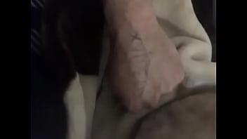 Doğrulama Videosu - verification-video - Video 3446728