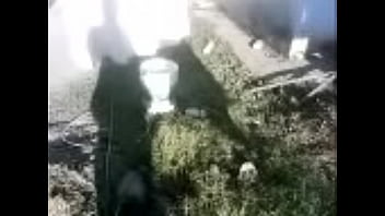 Unknown - 2025 - Hot - Experience - Video 6577314