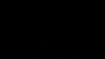 Verification Video - verification-video - Video 3522022