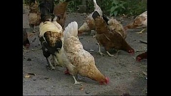 Unknown - 2025 - Intense - Performance - Video 6519263