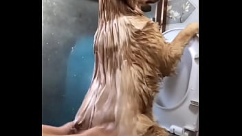 Verification Video - verification-video - Video 3521185