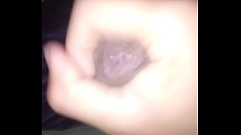 Penis Of The Peni