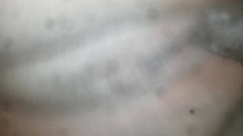 Pegando A Minha Sogra Negra.