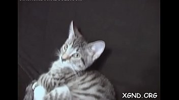 Mouthwatering Minx Tiffany Gets Fucked In Various Poses