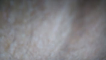 I Was Sucking On Tony Asshole