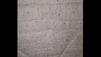 Verification Video - verification-video - Video 3424032