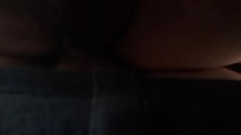 Verification Video - verification-video - Video 3423533