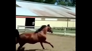 Verification Video - verification-video - Video 3423537