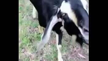 Verification Video - verification-video - Video 3422539