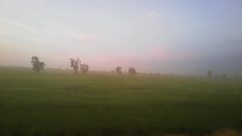 Vídeo De Verificación - verification-video - Video 3210080