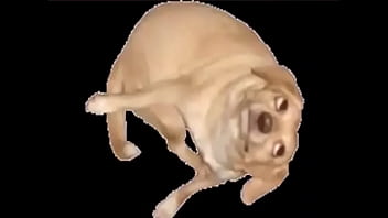 Vídeo De Verificação - verification-video - Video 3420583