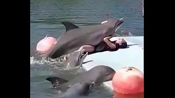 Verification Video - verification-video - Video 3420129