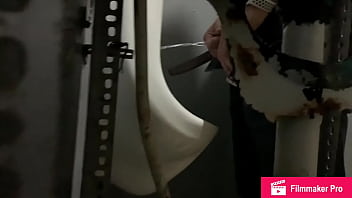 Puerto Rico Spycam Bichos Ricos