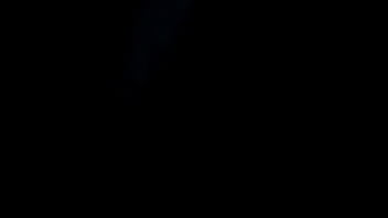 Verification Video - verification-video - Video 3364878