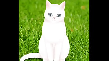 Verification Video - verification-video - Video 3364309