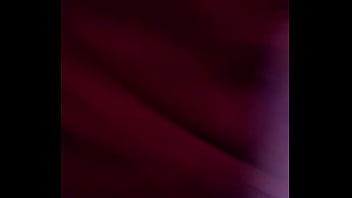 Trans moderna servicio 935579932