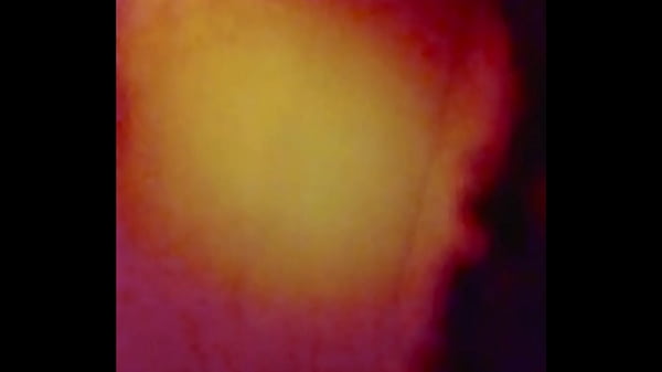 Vídeo De Verificación - verification-video - Video 3398411