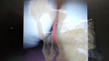 Homenagem De Recife Discreto Para A Minha Esposa