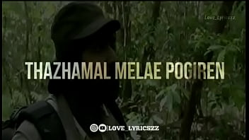 Verification Video - verification-video - Video 3184328