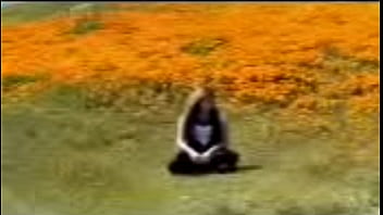 Verification Video - verification-video - Video 3184291