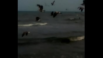 Vídeo De Verificación - verification-video - Video 3456363