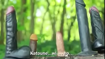 Dick The Long Journey