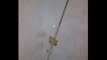 Tiago Gozo Igual Cavalo