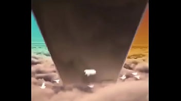 Verification Video - verification-video - Video 3341776