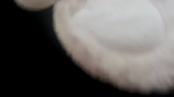 La Tua Bellissima Mamma Italiana Passa La Mattinata A Provarsi Questi Fantastici Jeans Aderenti