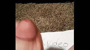 Verification Video - verification-video - Video 3341016