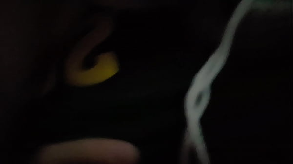 Vídeo De Verificación - verification-video - Video 3176670