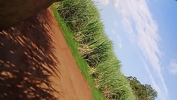 Meu Amigo Me Comendo